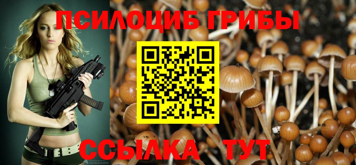 Галлюциногенные грибы MAGIC MUSHROOMS  Галлюциногенные грибы GOLDEN TEACHER  купить наркоту  Вход с VPN  Томск 
